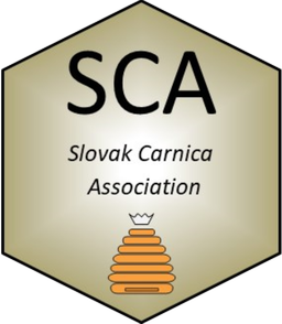 sca logo